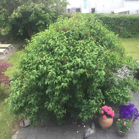 Bed & Breakfast Hornbaek